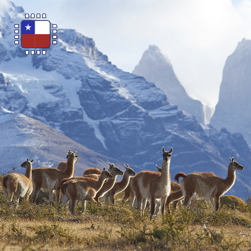 eSIM Chile 1GB (7 days)