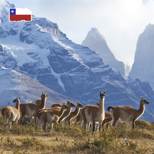 Data Sim Card Chile - 25GB