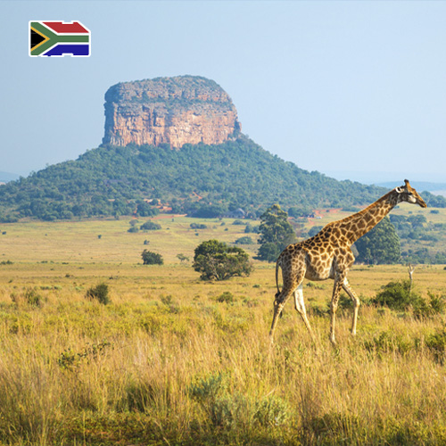Data SIM Card South Africa 25GB (30 days)