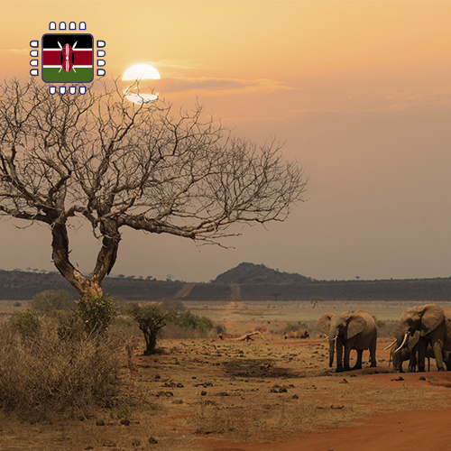 [eSIM_8988_KENYA_1GB_7D] eSIM Kenya - 1GB