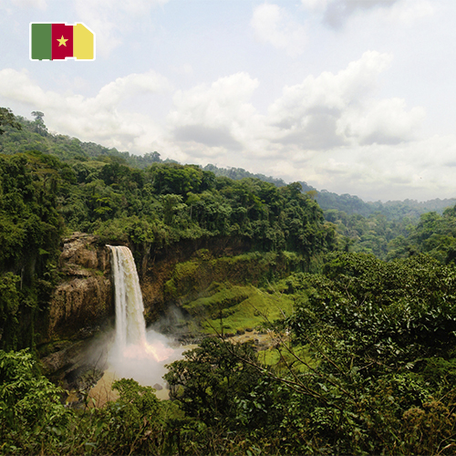 [SIM_8988_CAMEROON_10GB_30D] Daten-SIM-Karte Kamerun - 10 GB