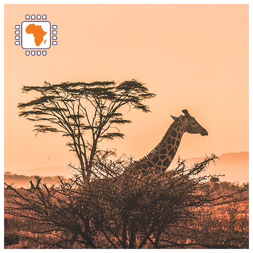[WW_901O_STACK_ONEOFF_AFRICA2_3GB_15D] eSIM Africa 3GB (15 days)