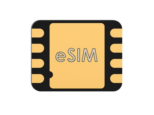 [eSIM_8988_LEEG_5G] eSIM LEER_5G